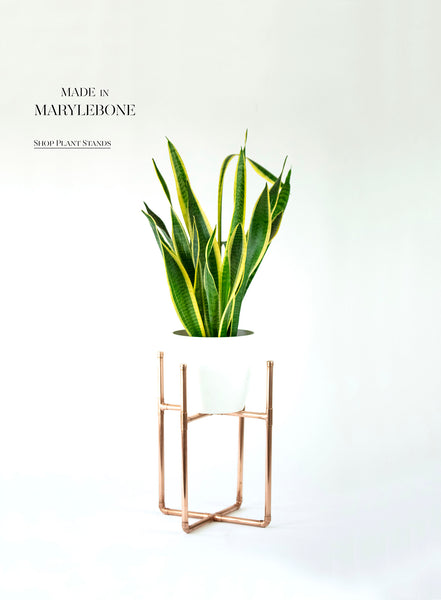 Plant Stand, Copper Frame